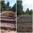 Before & After picture of the school garden