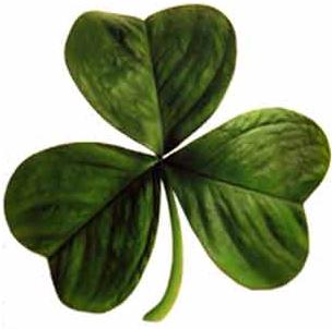 Irish 3-leaf clover
